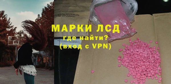 индика Михайловск