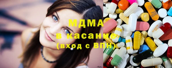 индика Михайловск