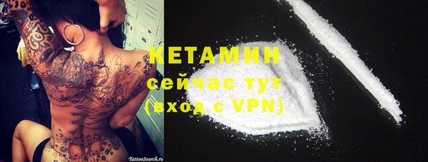 индика Михайловск