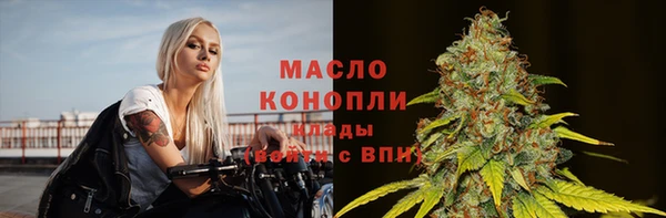 индика Михайловск