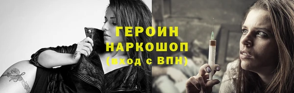 индика Михайловск