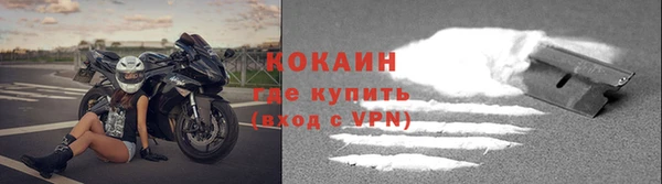 индика Михайловск