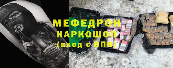 индика Михайловск