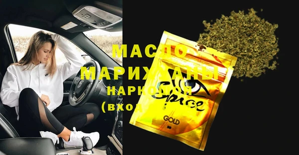 индика Михайловск
