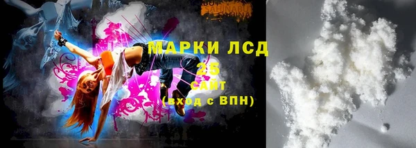 индика Михайловск