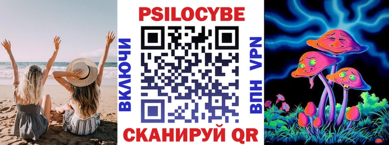 Купить Ивдель Псилоцибиновые грибы мицелий
