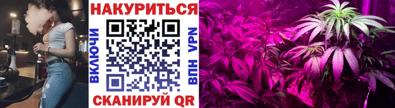 Купить где  Ивдель  МАРИХУАНА планчик 
